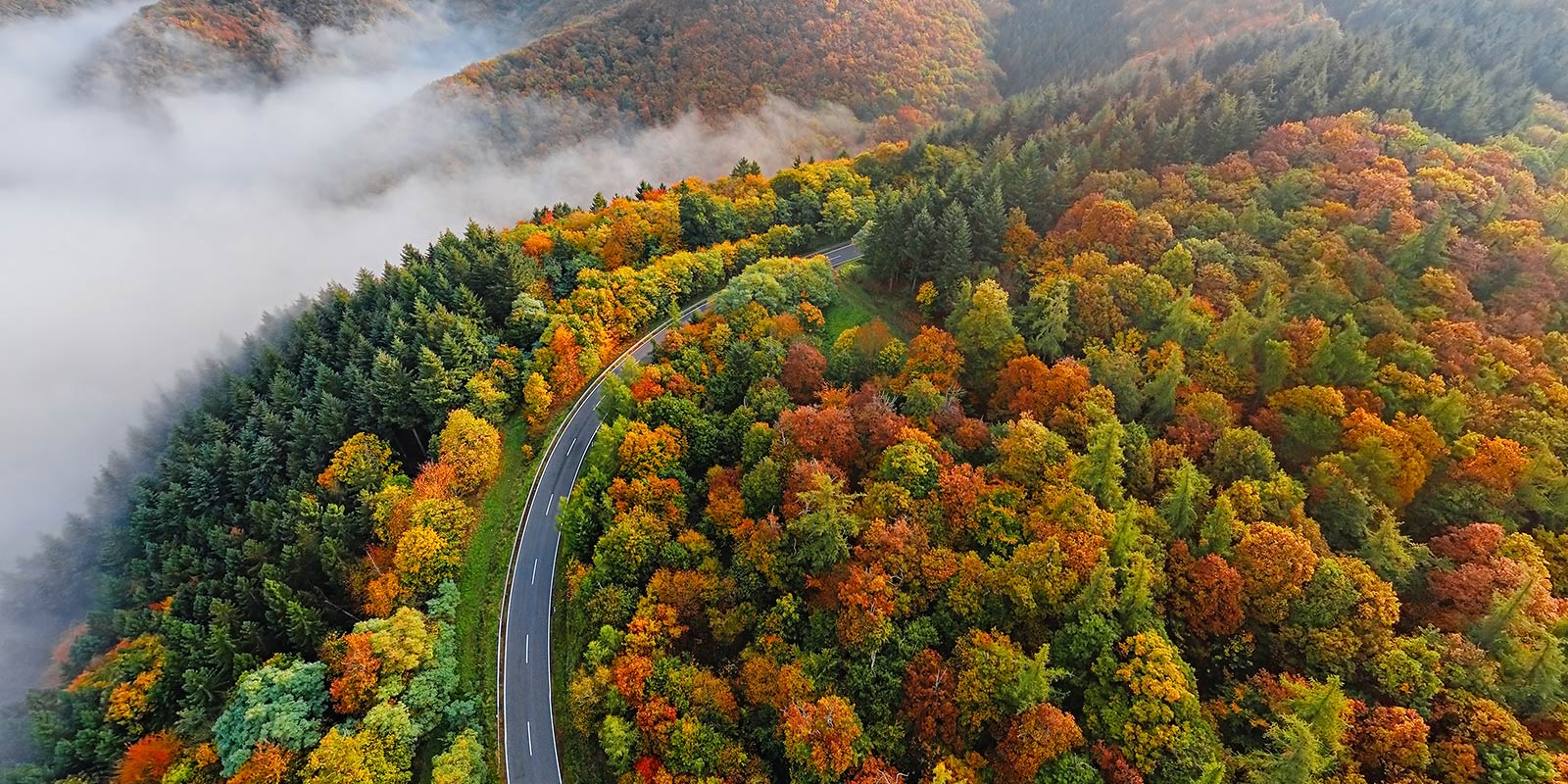 Locations - Elite RV Roof & Collision